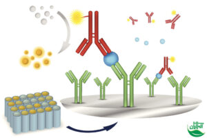 نمایش تکنیک الایزا