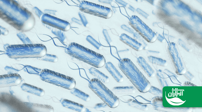 چگونه از ابتلا به وبا جلوگیری کنیم؟ + علائم، روشهای تشخیص، پیشگیری و درمان